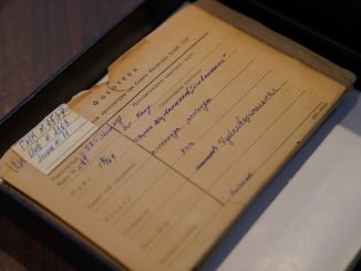 Depotregal mit Sammlungsobjekten